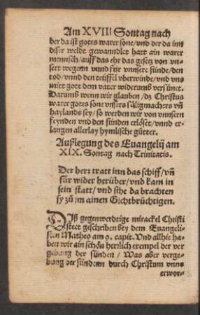 Außlegung des Evangelii am XIX. Sontag nach Trinitatis.