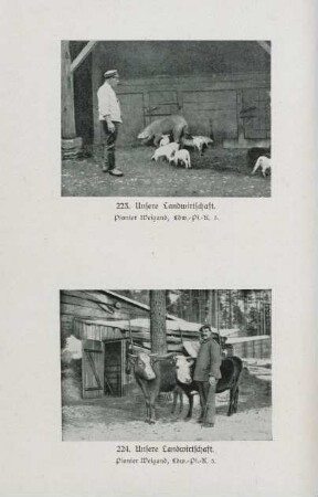 223. Unsere Landwirtschaft. 224. Unsere Landwirtschaft.