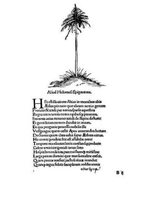 Aliud Philomusi Epigramma.