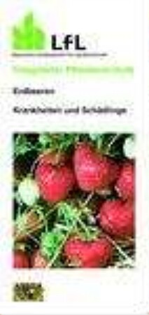 Erdbeeren : Krankheiten und Schädlinge