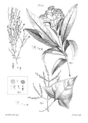 Tab 34