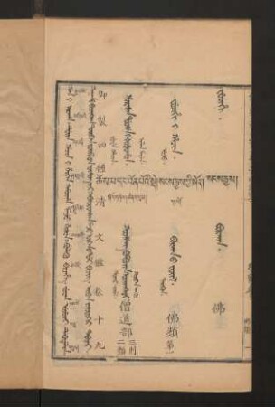 juwan uyuci debtelin = བམ་པོ་བཅུ་དགུ་པ = varbav jisudugar tabdar = 卷十九