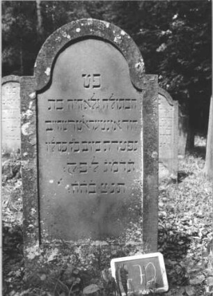 Grabstein 472 (Index: 99895588) Material: Sandstein Zustand: sehr gut, leicht bewachsen Maße HxBxT: 130x63x8 cm Beschreibung: Stele mit eingezogenem Rundbogenabschluss: Grabstein 672