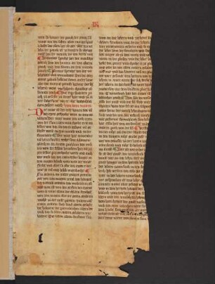 Buch der Natur (Fragm.)