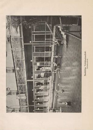 Städtische Volksbadeanstalt. Schwimmhalle