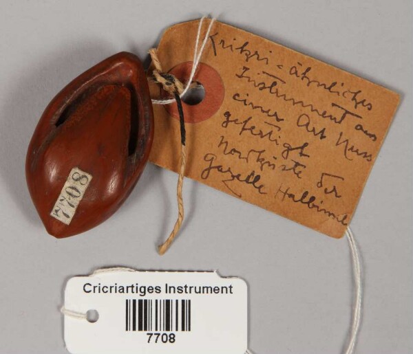 Cricri-like instrument