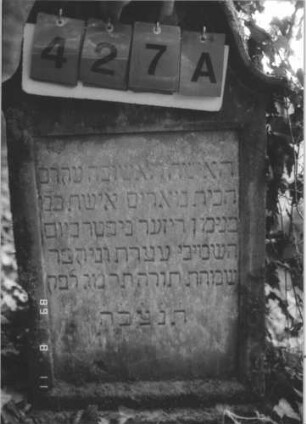 Grabstein 427 (Index: 99800272) Material: Sandstein Zustand: verwittert Maße HxBxT: 98x54x17 cm Beschreibung: Stele, Konvexbogenabschluß mit Verdachung, Schriftfeld rechteckig eingetieft, Sockel: Grabstein 427A