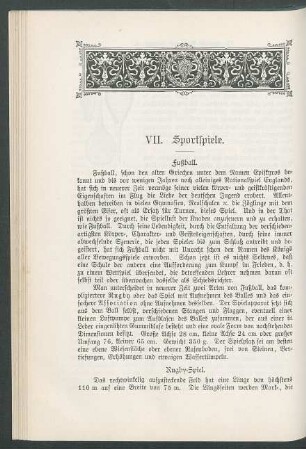 VII. Sportspiele.