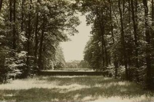 Neues Schloß