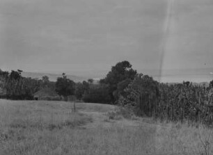 Sidamo-Gehöft : Gebäude eines Gehöfts der Sidama