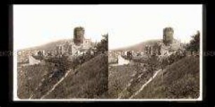 Burg Lahneck, Lahnstein