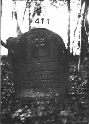 Grabstein 411 (Index: 99898283) Material: Sandstein Zustand: stellenweise verwittert Maße HxBxT: 78x55x8 cm Beschreibung: Stele mit eingezogenem Rundbogenabschluss, im Bogenfeld Ranken Symbolik: Ranken: Grabstein 411