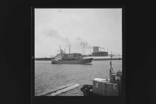 Bremer Wappen (1954), Frachtschiff, Bremer Reederei Bruno Bischoff & Co. GmbH, Bremen, Bau-Nr. 369