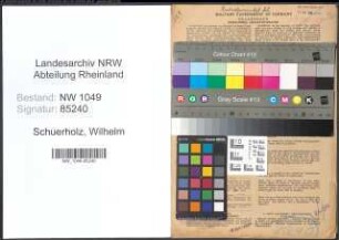 Entnazifizierung Wilhelm Schuerholz , geb. 09.08.1890 (Baumeister)