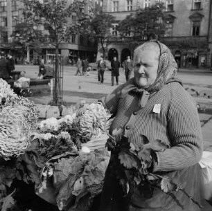 Krakow. Alte Frau mit Blumen