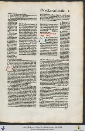 Liber IV. De consanguinitate et affinitate.