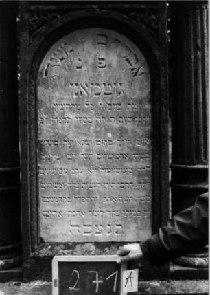 Grabstein 271 [Nir S. 178 Nr. 16.17]: Grabstein 271A [Nir S. 178 Nr. 16.17]