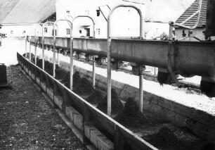 Schaßberger Hollern, Fütterungsschnecke zu Futtertrog