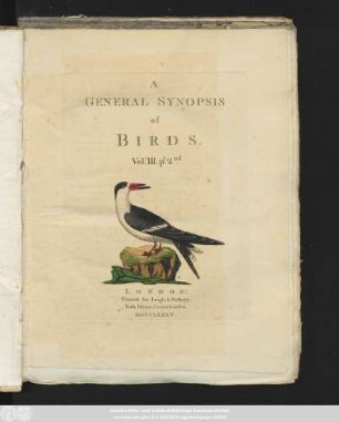 Vol. 3, 2: A General Synopsis of Birds