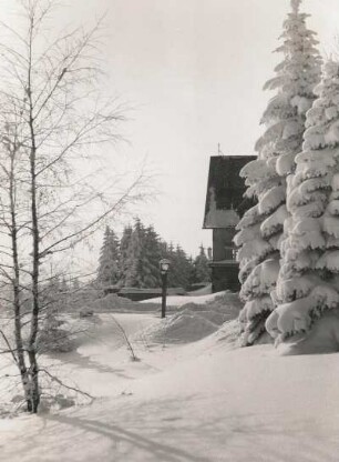 Altenberg (Erzgebirge). Waldrand oberhalb des Sanatoriums Neues Raupennest