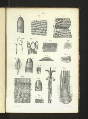 Pl. 92.