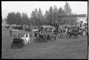Meissenheim: im Rheinwald, Internationales Reit- und Fahrturnier, Fahrturnier mit Vierspännern [Zweispännern], von der Tribüne