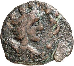 Palmyra