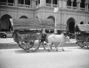 Ochsenkarren in Kuala Lumpur : Ansicht vor dem Bangunan Sultan Abdul Samad (Sultan Abdul Samad Building)