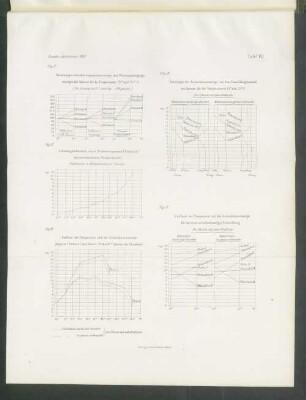 Tafel VIII