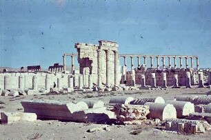 Palmyra Nahe Agora