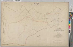 Assinghausen (Olsberg), Separation Assinghausen, Bl.3 Urkarte II Flur 3