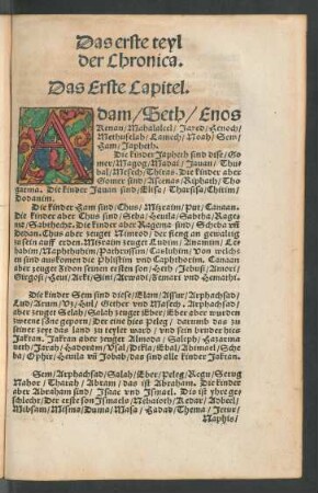 Das erste teyl der Chronica.