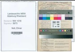 Entnazifizierung Elmar Noll , geb. 24.08.1900 (Arzt)