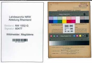 Entnazifizierung Magdalene Wildmeister, geb. 11.10.1913 (Schneiderin)