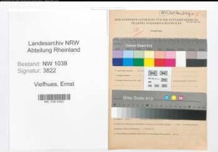 Entnazifizierung Ernst Viefhues , geb. 16.10.1908 (Ingenieur)