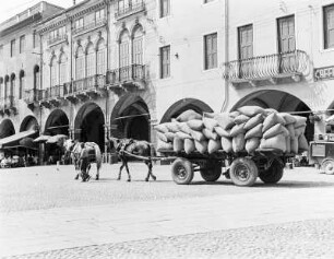 Palazzo in Padua, Straßenbild mit Pferdekarren
