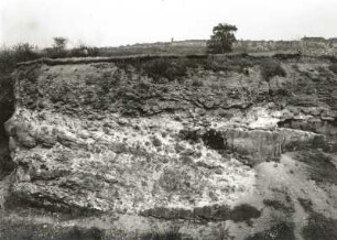 Plauenscher Grund. SWteinbruch nordwestlich von Dresden-Coschütz. Syenitkonglomerate über Sandstein, z.T. in Wechsellagerung (Transgression des Kreidemeeres)