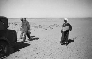 Professor Hamann in der Wüste