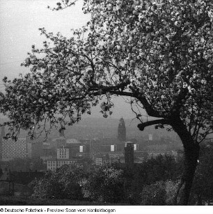 Panorama Räcknitz