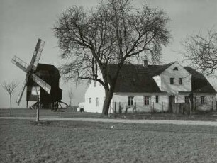 Pochra. Windmühle und Mühlengehöft