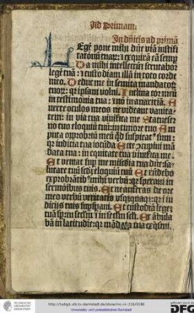 Legem pone mihi domine viam iustificationem tuarum...