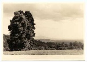 Haus Petersen Lilienhof: Landschaftsaufnahme Ausblick nach Süd-Ost