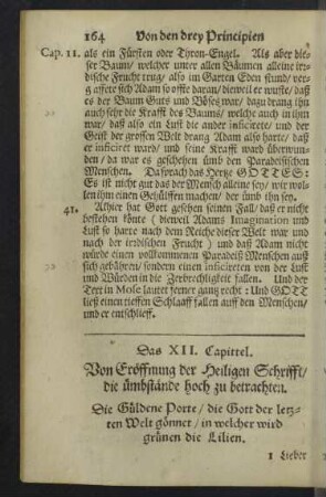 Das XII. Capittel.