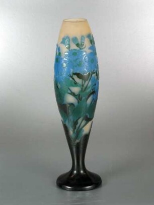 Vase mit Dekor: Blühende Gartencinerarie (Senecio x hybridus)
