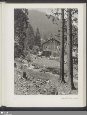 Sägmühle im Neumannsgrund