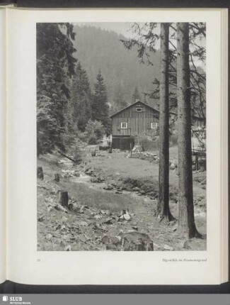 Sägmühle im Neumannsgrund