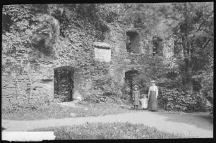 Grimma. Klosterruine Nimbschen
