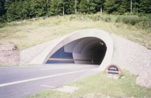 Hörnchenberg-Tunnel, bei Landstuhl