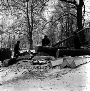 Kurpark: Baumfällaktion: drei Arbeiter hinter Stammstücken eines gefällten Baumes: hinten rechts Gebäude hinter Bäumen: Schnee: Winter