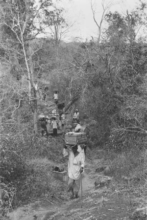 Träger beim Abstieg ins Namgarutal : Savannenlandschaft mit Expeditionsträgern